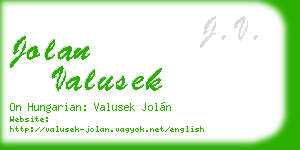 jolan valusek business card